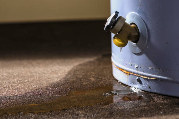 Water damage restoration experts in Half Moon, NC
