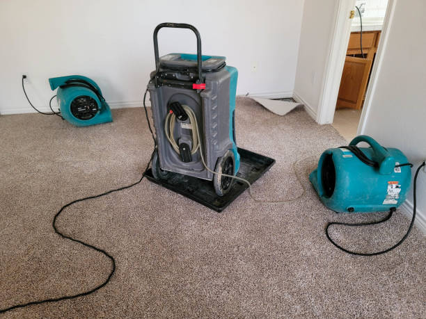 Best Mold removal after water damage  in Half Moon, NC