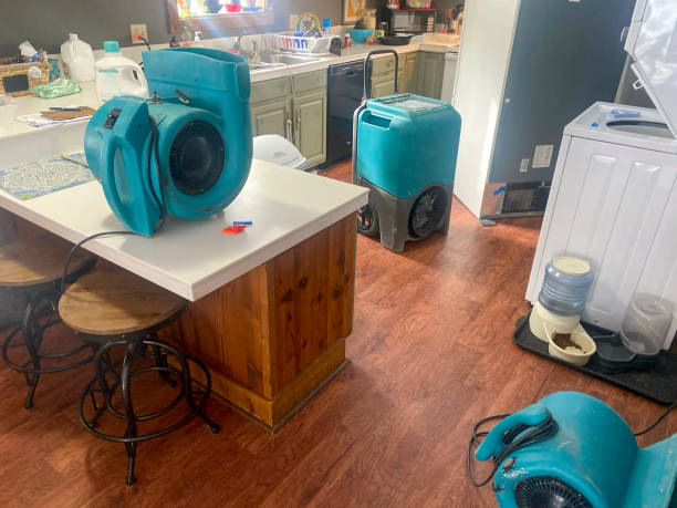 Best Water damage cleanup near me  in Half Moon, NC