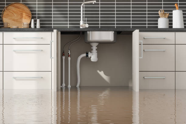 Best 24/7 water damage repair  in Half Moon, NC