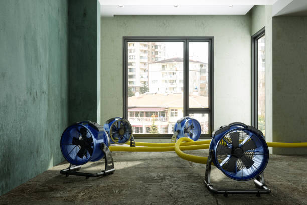 Best Professional water damage repair  in Half Moon, NC